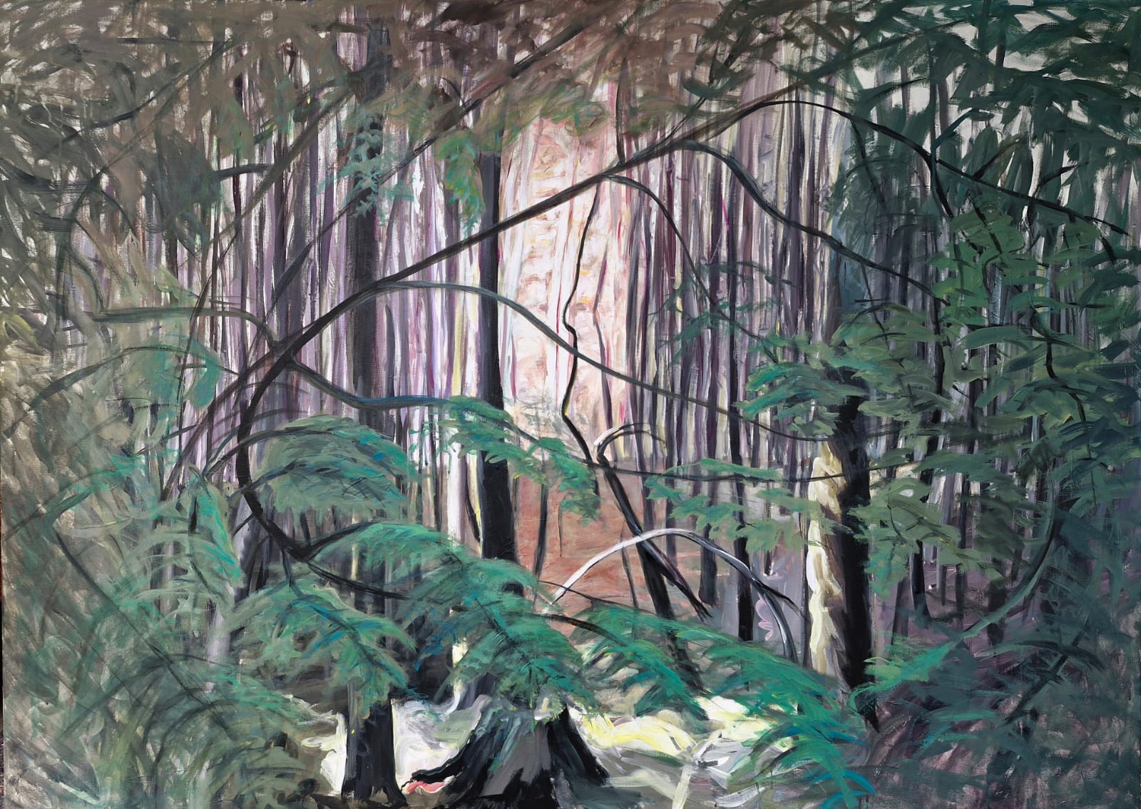 Schwarzwald 03, 2025